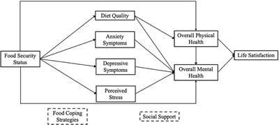 Frontiers | Developing A Conceptual Framework For The Relationship ...